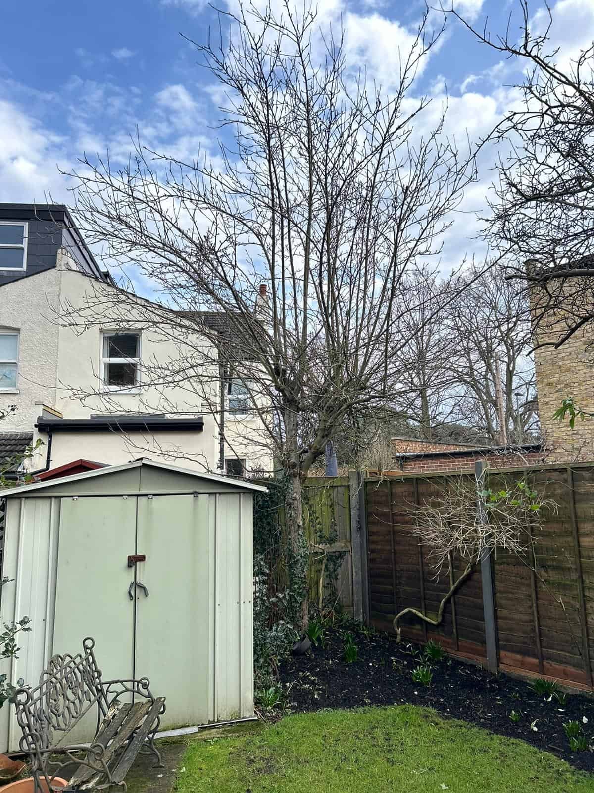 HLM Tree & Garden Services - Croydon