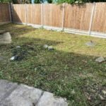 HLM Tree & Garden Services - Croydon