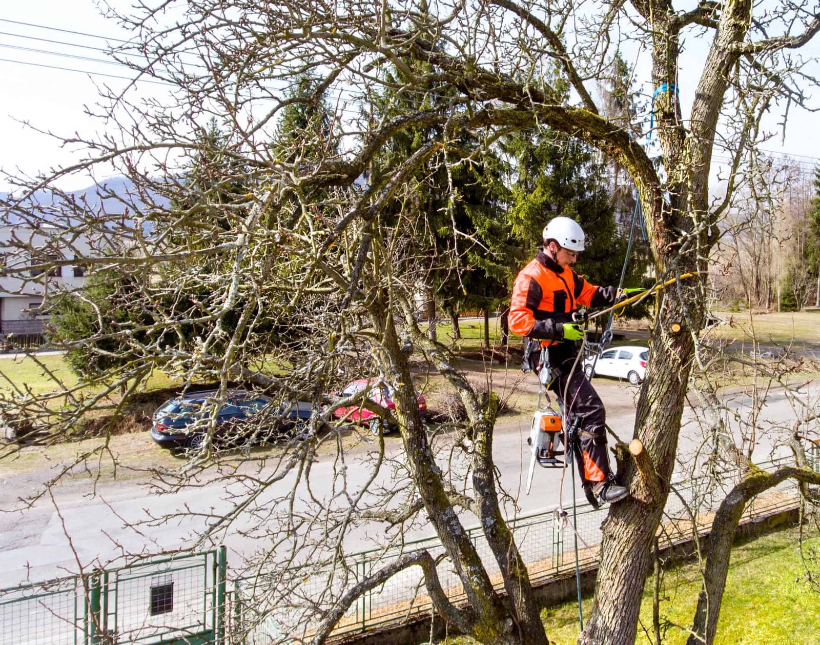 (c) Hlmtreegardenservices.co.uk