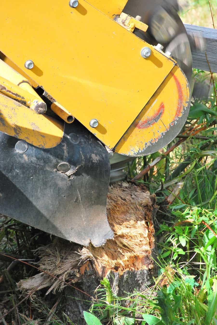 stump grinding croydon